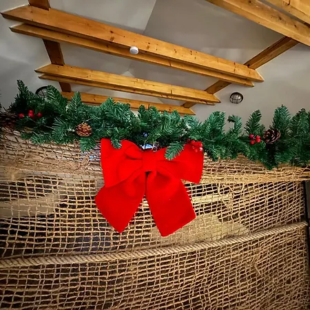 Pod Platanem Trutnov